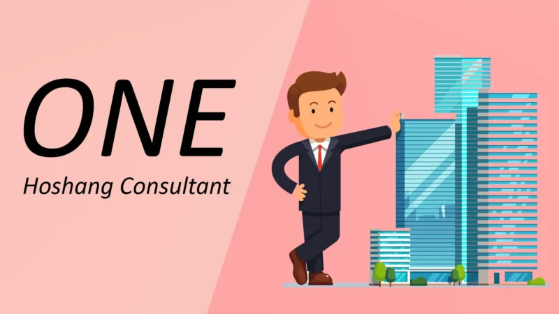 Drive Your Business With One Hoshang Consultant