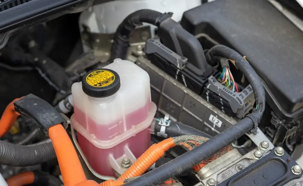 How to Check Engine Coolant: Why It’s Important for Your Vehicle